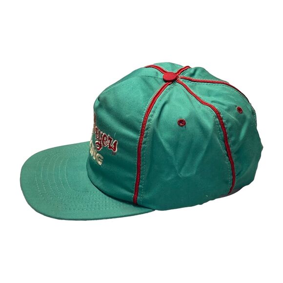 SKM Aqua Embroidered Bobby Hillin Jr. Nascar Heilig Meyers Racing Snapback Hat - Picture 2 of 7